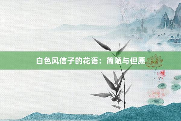 白色风信子的花语：简陋与但愿